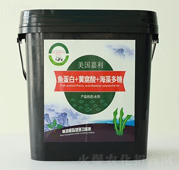方盛魚蛋白+黃腐酸+海藻多糖-綠展肥業(yè)