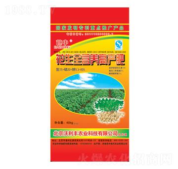 花生全營養(yǎng)高產(chǎn)肥-芭中農(nóng)業(yè)