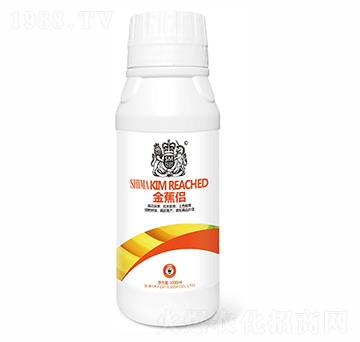 金蕉侶-獅馬肥業(yè)