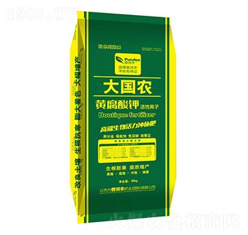 大國(guó)農(nóng)黃腐酸鉀-普潤(rùn)豐