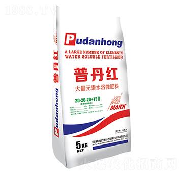 大量元素水溶性肥20-20-20+TE-普丹紅-農(nóng)利