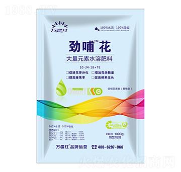1000g高磷促根花果壯型大量元素水溶肥料10-34-18+TE-勁哺花-萬疆紅