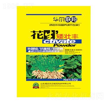 花生矮壯豐-華爾百諾