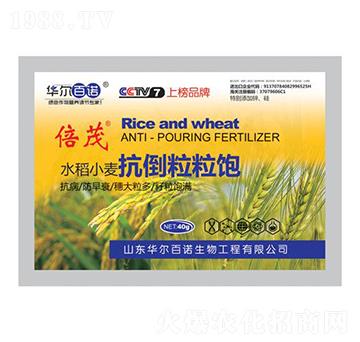 水稻小麥抗倒粒粒飽-華爾百諾