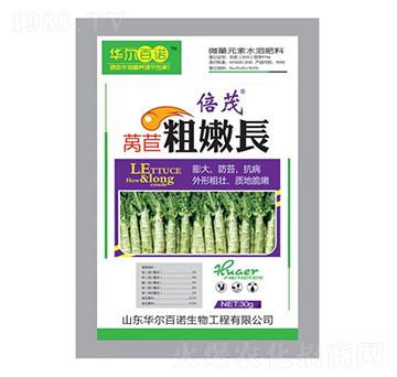 萵苣粗嫩長-華爾百諾