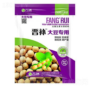 �󶹌���-�x�a-����