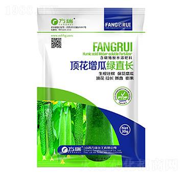 頂花增瓜綠直長(zhǎng)-方瑞