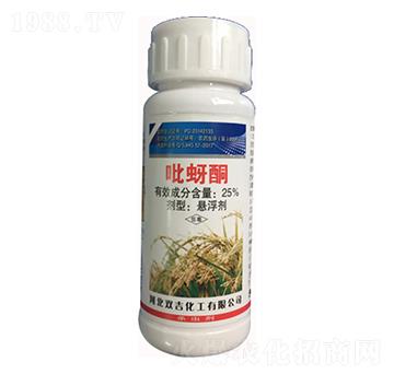 25%����ͪ�Ҹ���-�p