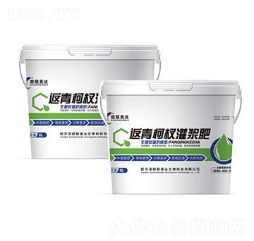 返青柯杈灌漿肥-歐聯(lián)美達(dá)