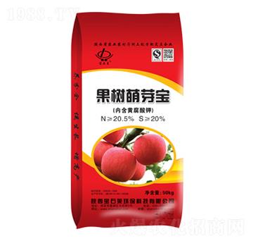 果樹(shù)萌芽寶-寶石萊