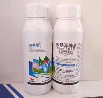 5%���������ؿ���Һ��-�Sǧ��-�G������