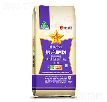 ������⛏ͺϷ���13-16-16-��������-�۠���