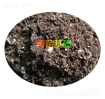 ������|(zh��)-���d����