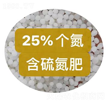 25%���򵪷��w��-���r(n��ng)�r(n��ng)�Y