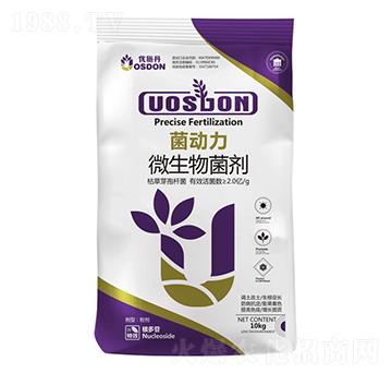 ������-��(y��u)ʩ��