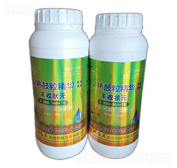 早熟鼓粒精華-鴻盛達(dá)