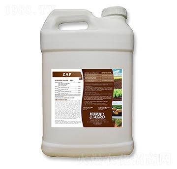 �ؿ�-����