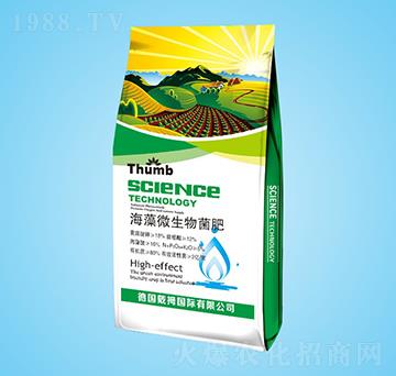 ����΢�������-����r(n��ng)�I(y��)