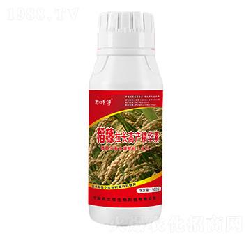 稻穗拉長(zhǎng)高產(chǎn)精華素-郭師傅-立信生物