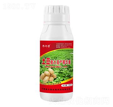 土豆膨大高產(chǎn)精華素-郭師傅-立信生物