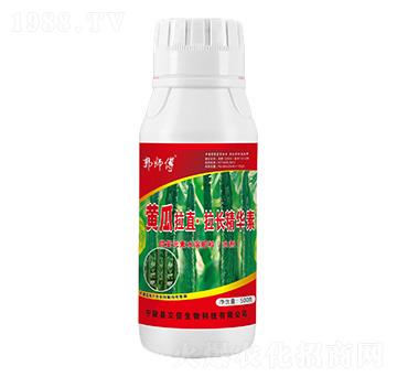 黃瓜拉直·拉長(zhǎng)精華素-郭師傅-立信生物