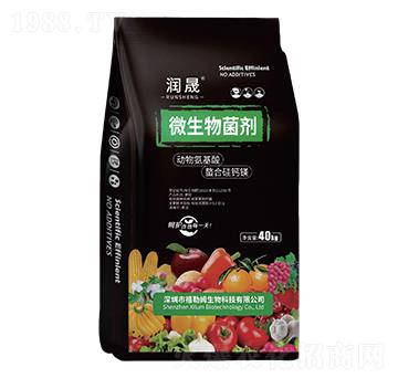 ΢�������(�w��)-��(r��n)��-����ķ