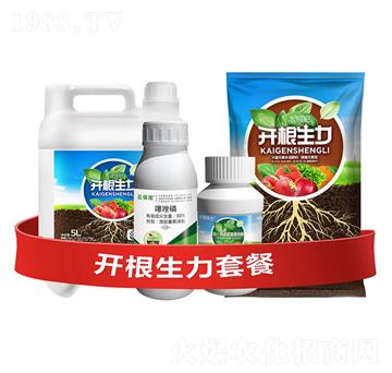 開根生力套餐H-云大科技