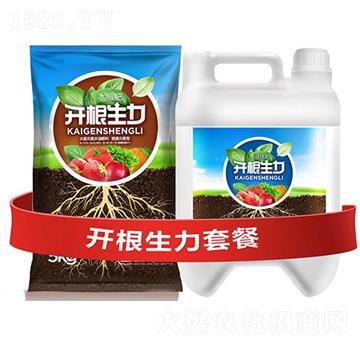 開根生力套餐C-云大科技