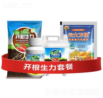 開(kāi)根生力套餐A-云大科技