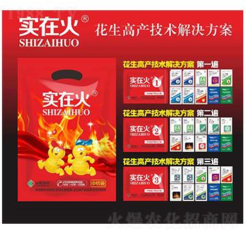 花生高產(chǎn)技術(shù)解決方案-實(shí)在火-紅太陽