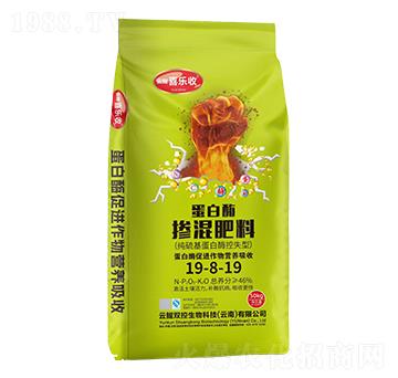 ����ø�������19-8-19-�t̫�(y��ng)