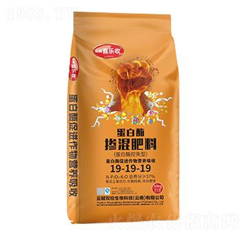 ����ø�������19-19-19-�t̫�(y��ng)