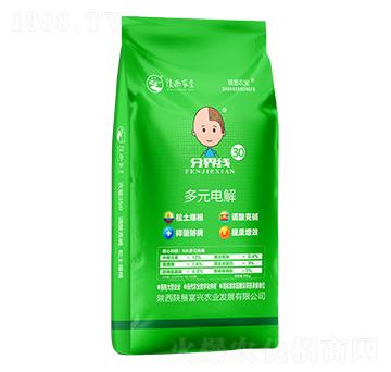 多元電解-陜墾富興