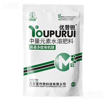 ���������ЙC(j��)�V-��(y��u)���J-���r(n��ng)��