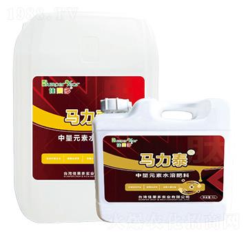 馬力泰-佳果多
