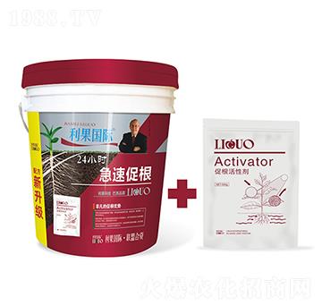 24小時急速促根肥-利果國際