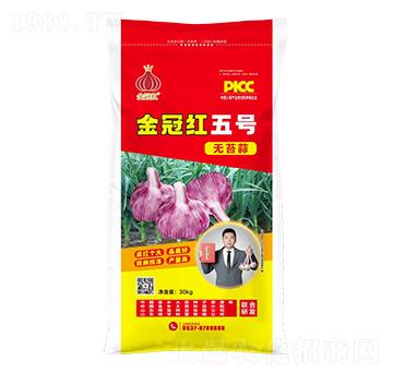 金冠紅五號無苔蒜-魯金豆