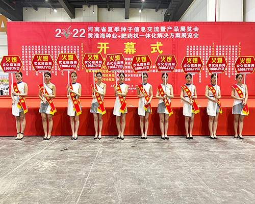 �����]�����Ĵ������������L(f��ng)�ɱM�@��