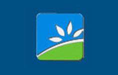 ���S����