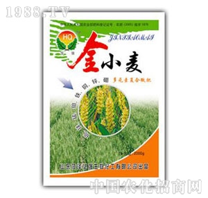 ���A��(qi��ng)-��С��