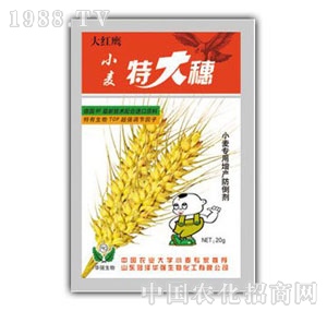 ���A��(qi��ng)-С���ش���