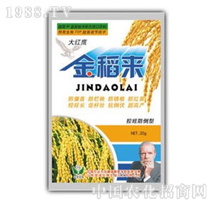 ���A��(qi��ng)-�𵾁�