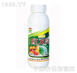 ���A��(qi��ng)-�t����