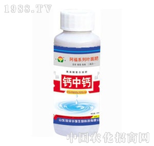 ���A��-�}���}