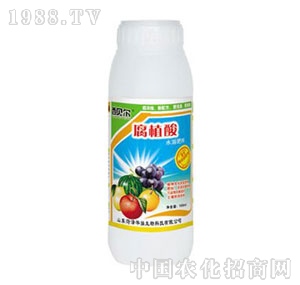 ���A��(qi��ng)-��ؐ����ֲ��