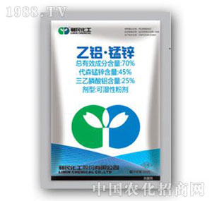 ����-70%���X�i�\