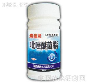 ��¶-̿���`